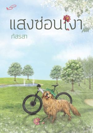 แสงซ่อนเงา