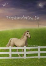 04-เกมอาชา